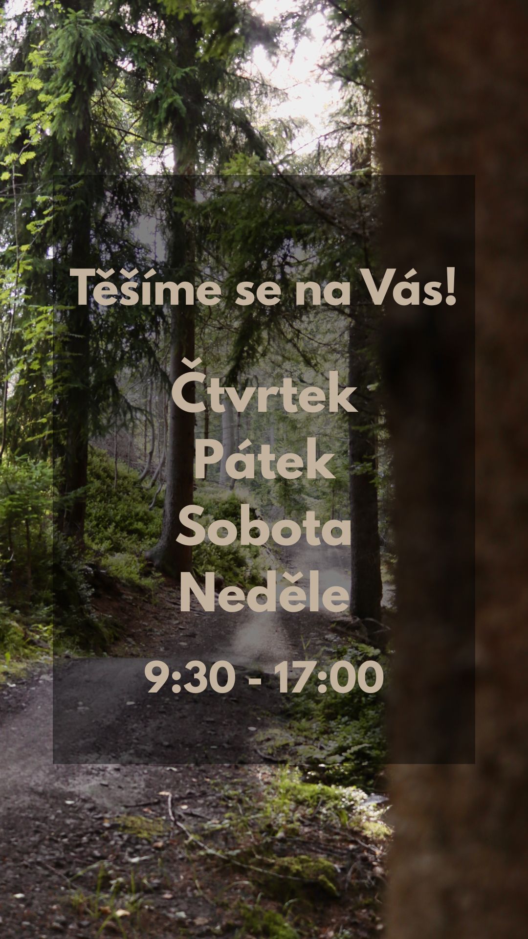 Půjčovna kol Aldrov