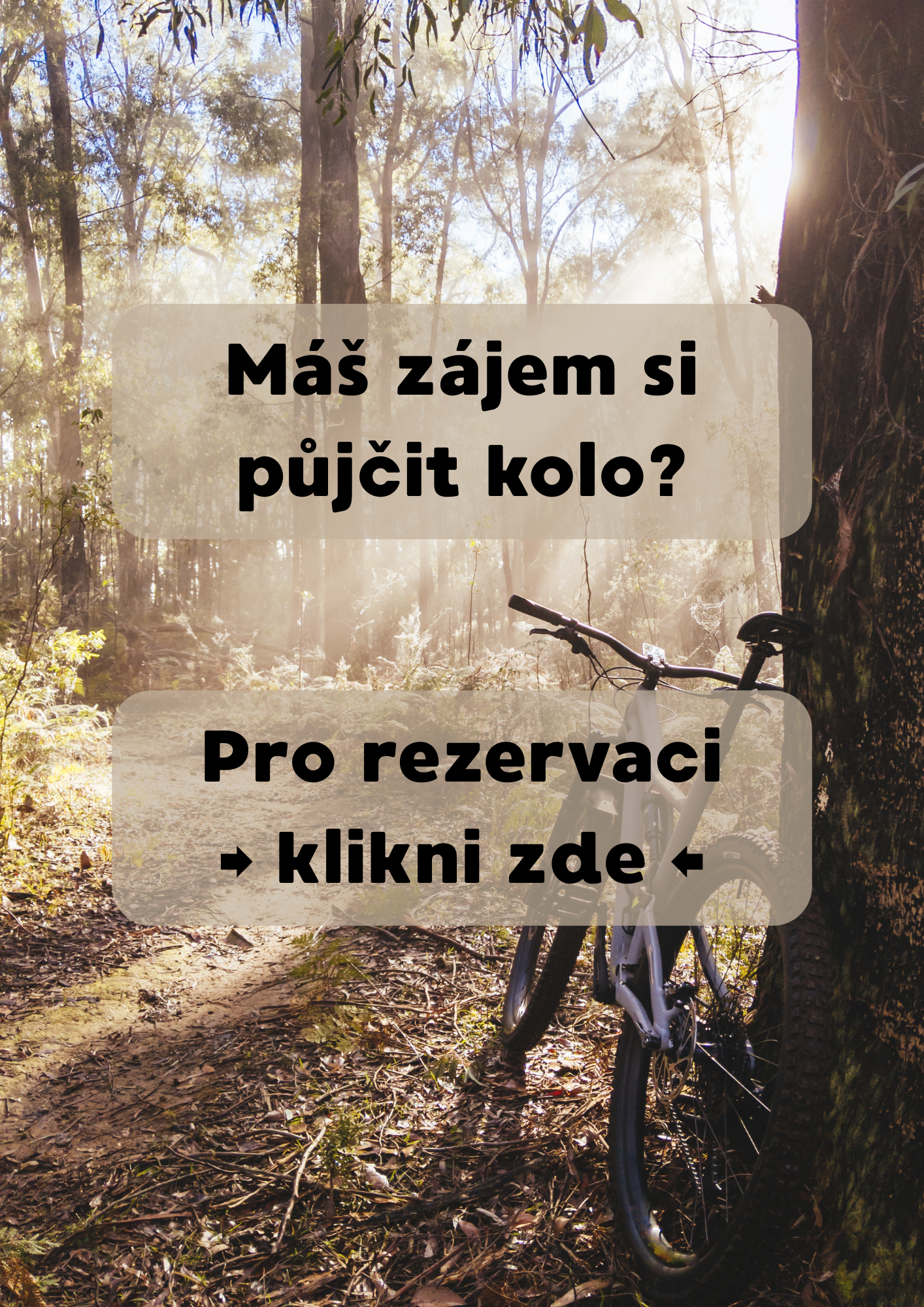Půjčovna kol Aldrov